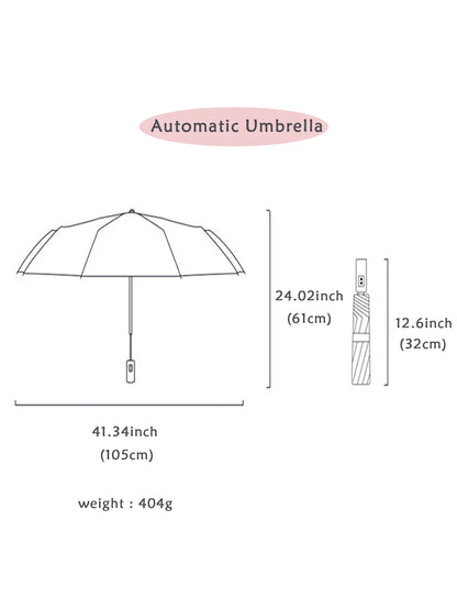 Winddichter, doppelschichtiger, automatischer, widerstandsfähiger Regenschirm