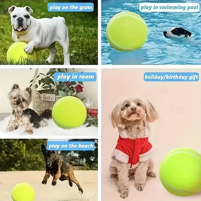 9,5 Zoll großer Riesentennisball für Hunde