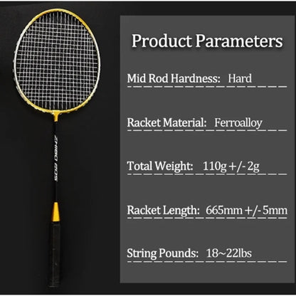 Profi Badminton Set für Anfänger